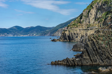 Fototapeta premium Italy,Cinque Terre,Riomaggiore, rocky cliff on Italian Riviera