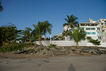 Things you see in Puerto Rico