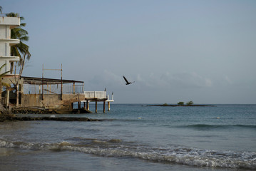 Things you see in Puerto Rico