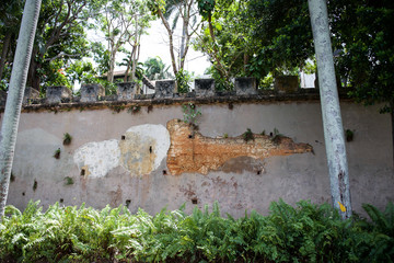 Things you see in Puerto Rico