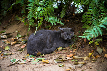 Things you see in Puerto Rico