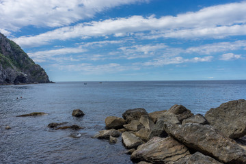 Fototapeta na wymiar Italy,Cinque Terre,Riomaggiore, a rocky shore next to a body of water
