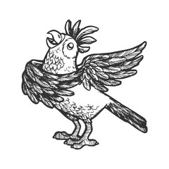 Cartoon singing parrot sketch engraving vector illustration. Scratch board style imitation. Hand drawn image.
