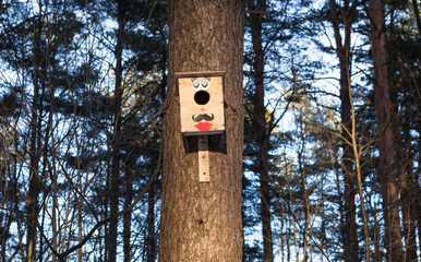 Colorful birdhouse on a tree in the park