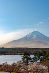 Plakat Landscape of Mount Fuji with natural fine sand flying up in the air. The World Heritage. view at Lake Shoji ( Shojiko ) in the morning. Fuji Five Lake region, Minamitsuru District, Yamanashi, Japan.