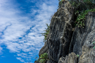 Italy,Cinque Terre,Riomaggiore, a close up of a rock next to a tree