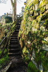 a wall made of stones already covered with green moss; next to it are narrow concrete steps with wooden railings that go up the hill