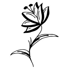 Engraved hand drawn illustrations of abstract flower isolated on white. Hand drawn vector flower