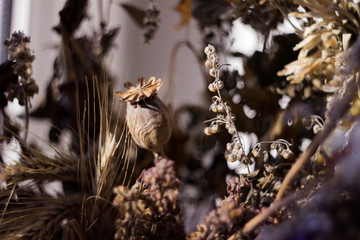 Dry poppy heads and other dried flowers, vintage colors, macro background