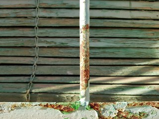 Peeled bar, closeup