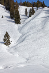Ski tracks from ski touring