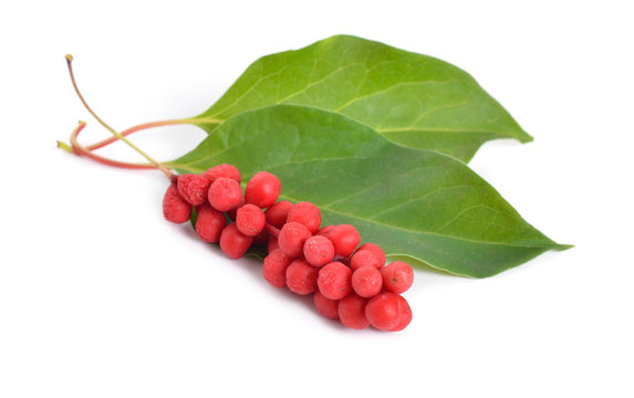 Schisandra Chinensis Berries Isolated On White Background