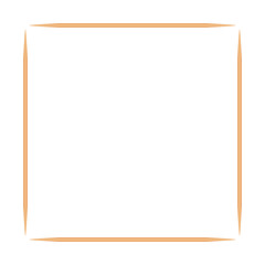 Obraz premium illustration Wooden Toothpicks isolated on white background and copy space, Bamboo Toothpick small sharp, Realistic Toothpicks wood