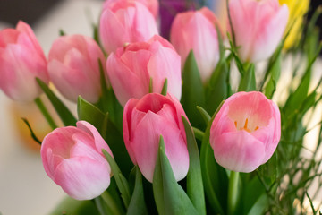 tulpen