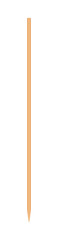skewers wooden bamboo pointed tip stick thin isolated on white background, wood skewers used to hold pieces foods, tipped chopsticks for skewer barbecue, skewer sticks for BBQ vegetable and fruits