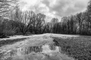 Schwarz weiss Bild mit Spiegelung von bewöktem Himmel mit Weg und Bäumen, englischer Garten, München