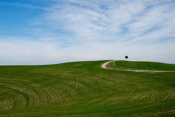 Crete Senesi