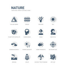 simple set of icons such as dry leaf, coconut tree standing, solar, seeding, big snowflake, sunny pronostic, shining sun with rays, rainbow behind a cloud, hair style, asian. related nature icons