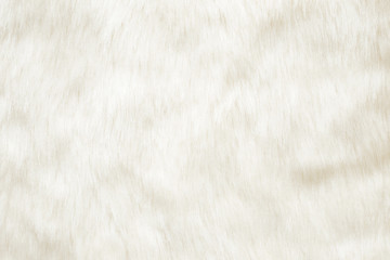 Fototapeta na wymiar Light, white, furry coat background. Empty place for text, quote or sayings. Top view. Closeup. 