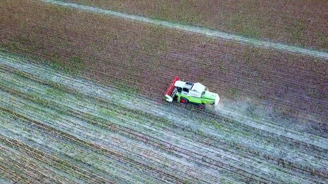 Combine machine working on a field. Aerial view