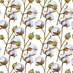 Botanical watercolor seamless pattern with cotton branch. Watercolor vintage background with twigs and cotton flowers. Perfect for wallpapers, web page backgrounds, surface textures, textile. 