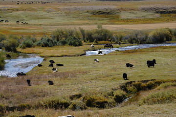 kyrgyzstan landscape