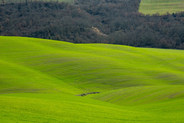Crete Senesi