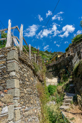 Italy, Cinque Terre, Vernazza, a close up of a hillside next to a rock wall