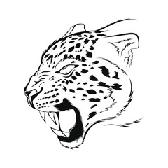 Snarling Leopard