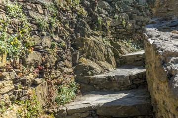 Italy, Cinque Terre, Vernazza, a close up of a rock