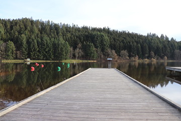 Naklejka premium LAC DES SAPINS - CUBLIZE - RHONE - FRANCE