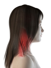 Naklejka premium 3d rendered medically accurate illustration of a females neck muscles