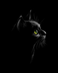 Portrait of a cat on a black background
