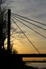 Rheinbrücke