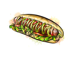 Hot dog from a splash of watercolor