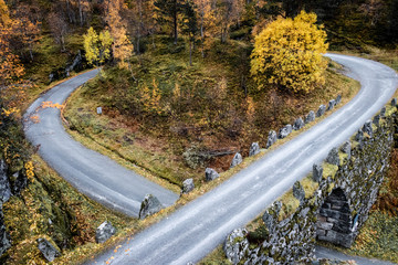 road in autumn