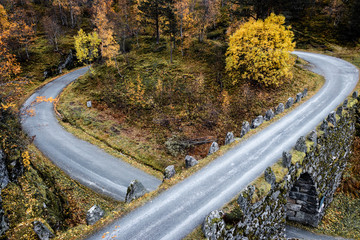 road in autumn