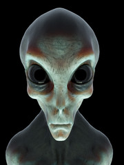 Naklejka premium 3d rendered illustration of an alien