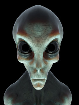 3d rendered illustration of an alien