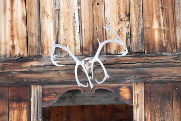 old fashioned wooden door