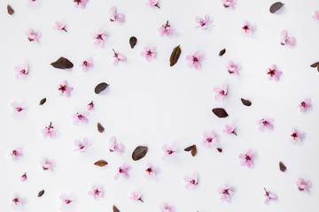 Pink cherry blossom pattern composition on white background. Easter, spring, summer concept. Flat lay, top view