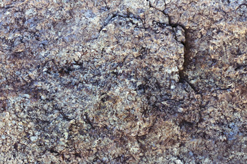  texture granite close-up / background photo natural textures