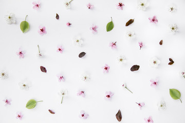Variety of pink and white blossoms pattern composition on white background. Easter, spring, summer concept. Flat lay, top view