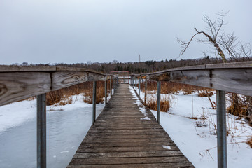 Naklejka premium Acton, United States, February 27, 2019. Grassy Pond Conservation Area or raw nature in winter time, Massachusetts, United States