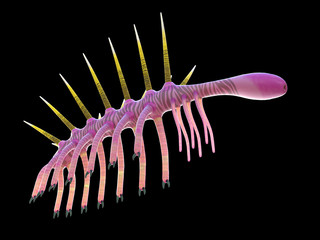 3d rendered illustration of a pre-historic marine creature - hallucigenia