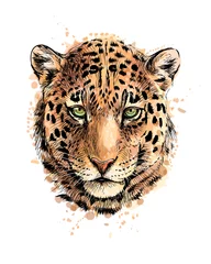 Foto op Plexiglas Portrait of a leopard head from a splash of watercolor © kapona