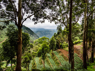 Sri Lanka - Terraced Agriculture