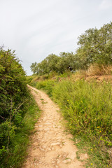 Fototapeta na wymiar Narrow footpath on the Way of St. James, Camino de Santiago in Navarre, Spain, between Cirauqui and Lorca