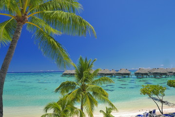 lagon de moorea polynesie