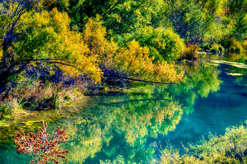 Along the Verde River